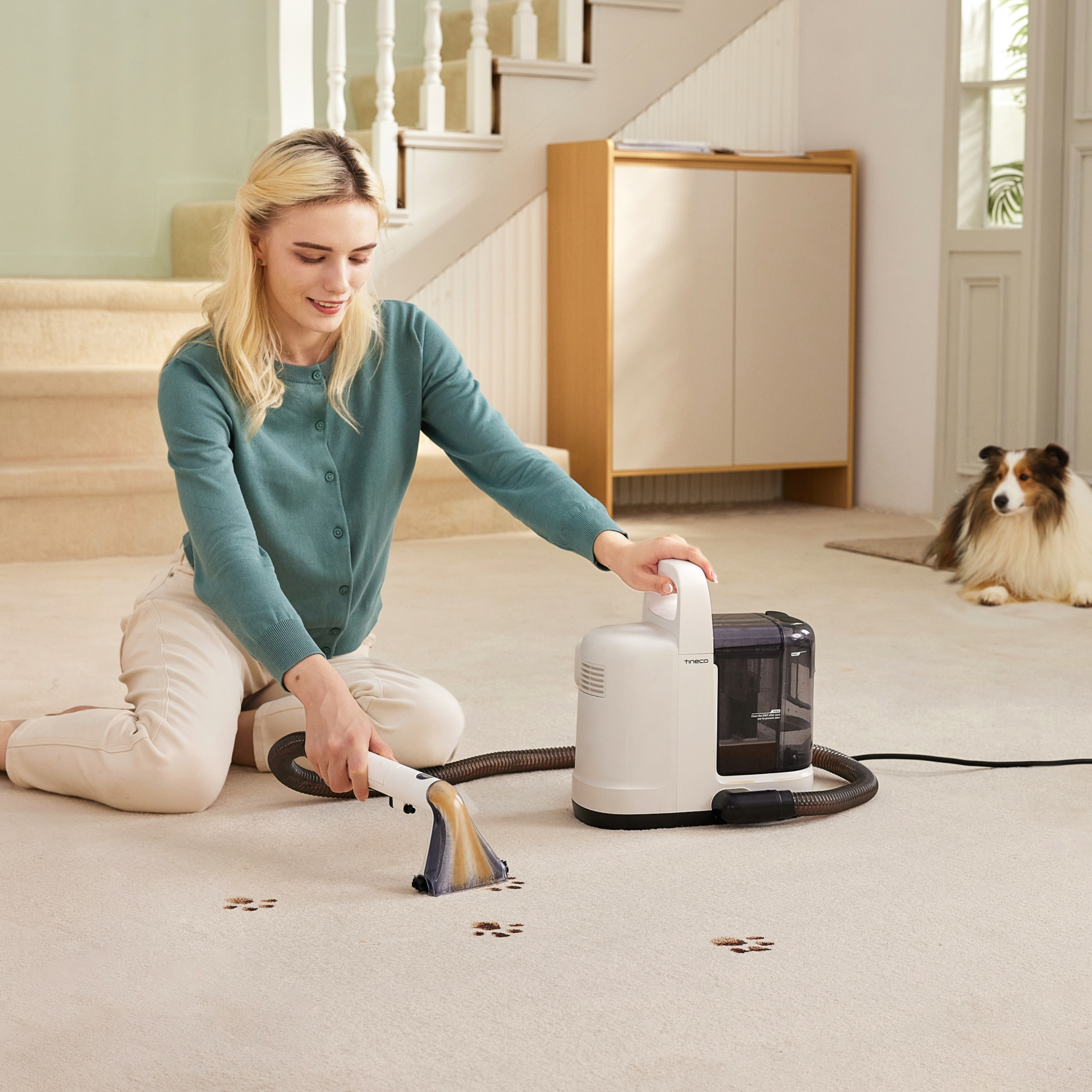 Tineco iCarpet Spot